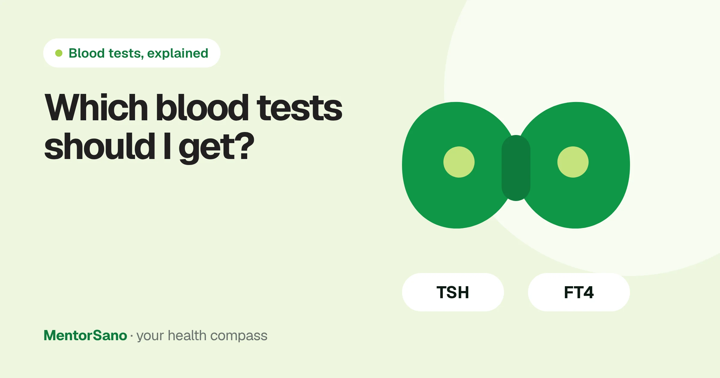 Which blood tests to get: how to choose without paying for everything