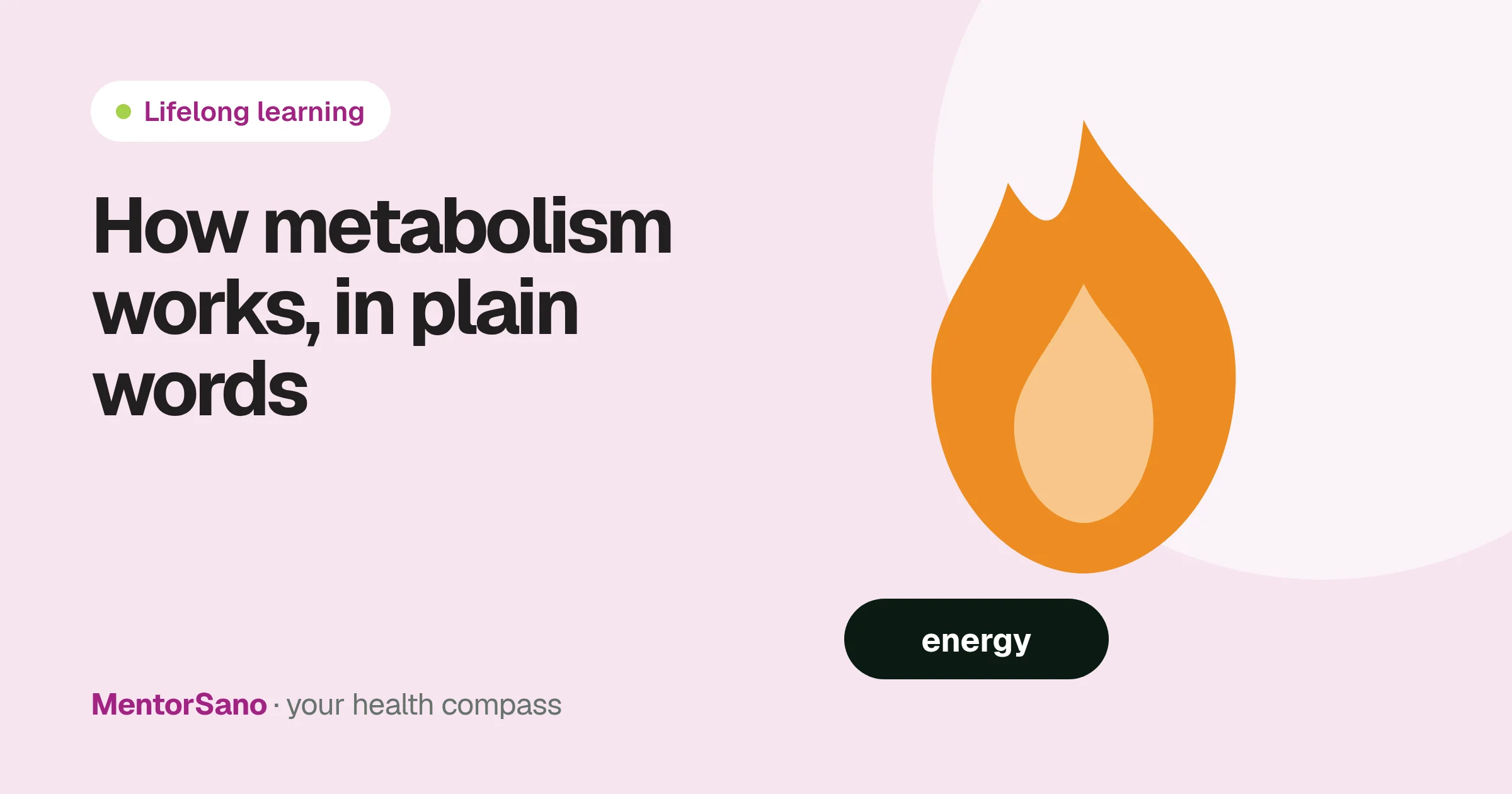 How metabolism works and what you can actually change